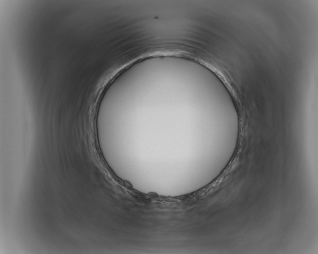 X0000111470337200907131243