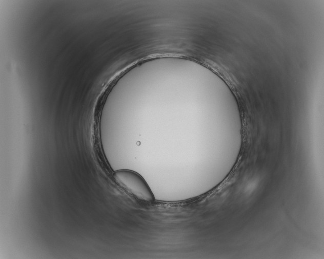 X0000111470338200907131243