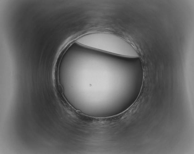 X0000111470340200907131243