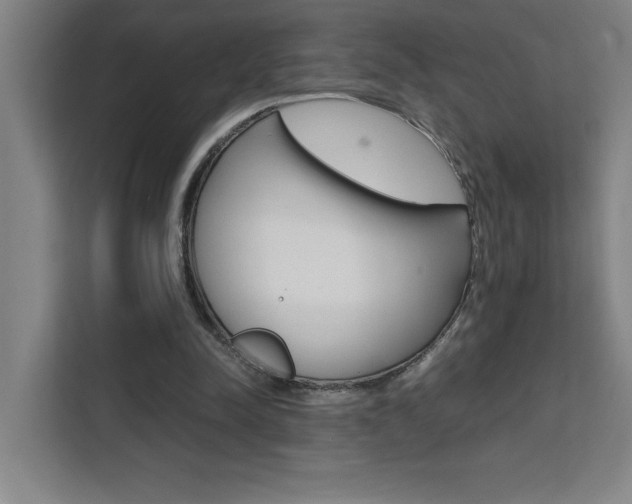 X0000111470342200907131243