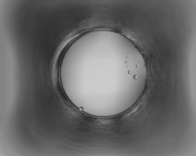 X0000111470343200907131243