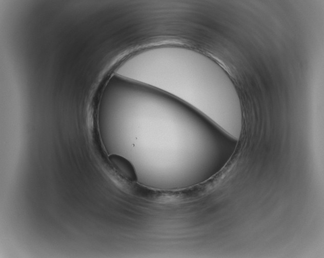 X0000111470350200907131243