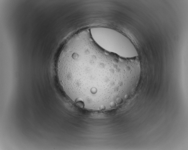 X0000111470354200907131243