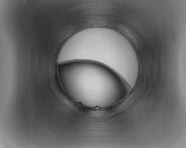 X0000111470362200907131243