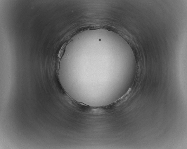 X0000111470376200907131243