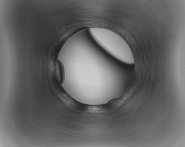 X0000111470380200907131243