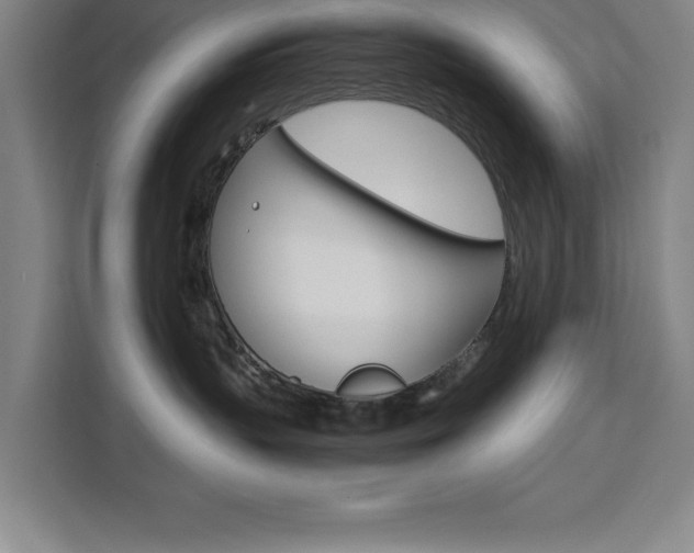 X0000111470383200907131243