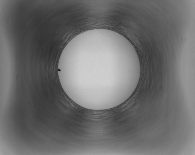 X0000111470384200907131243