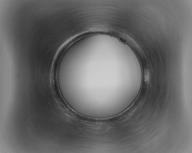 X0000111470388200907131243