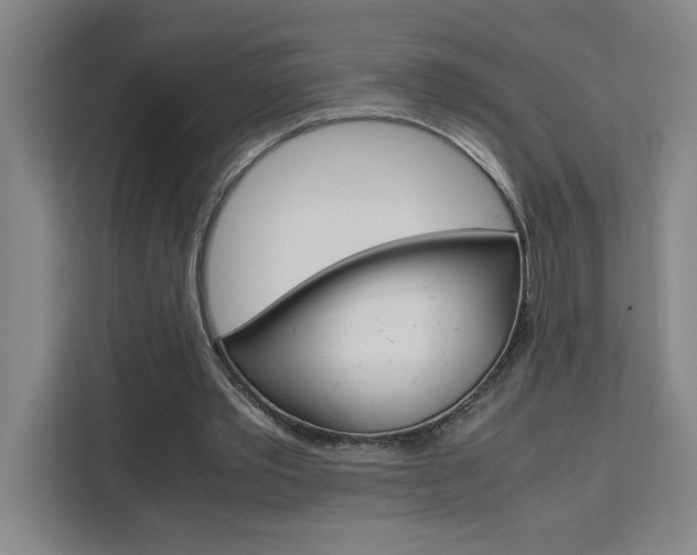X0000111470389200907131243