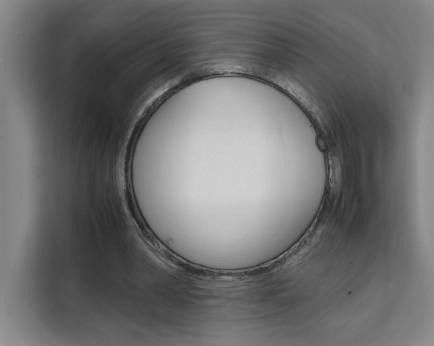 X0000111470390200907131243