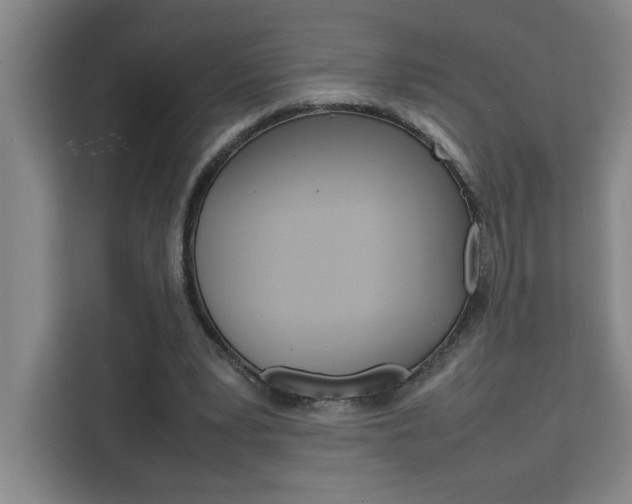 X0000111470391200907131242