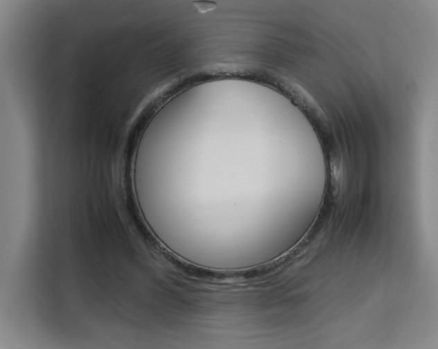 X0000111470396200907131242