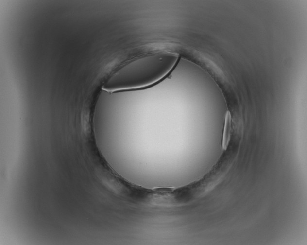 X0000111470403200907131242