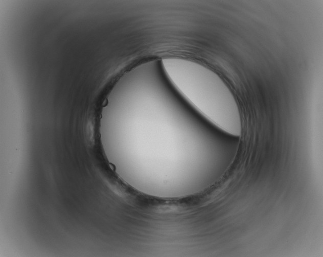 X0000111470404200907131242