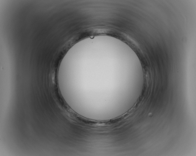 X0000111470406200907131242