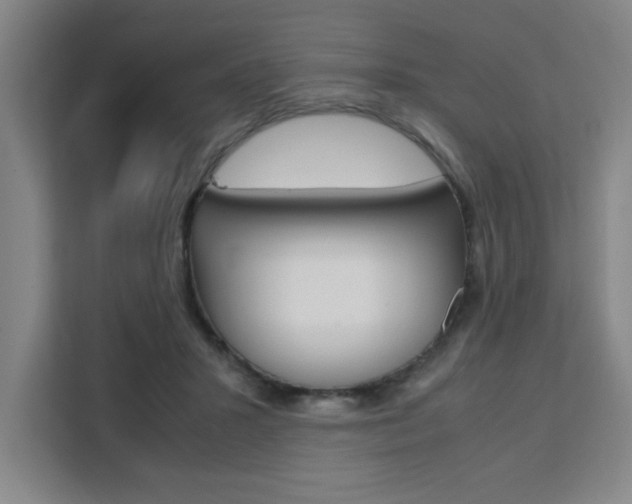 X0000111470407200907131242