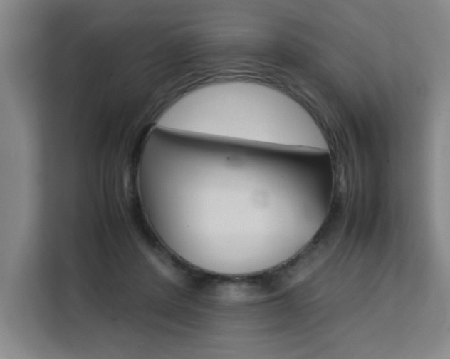 X0000111470408200907131242
