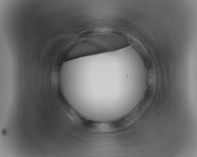 X0000111470409200907131242