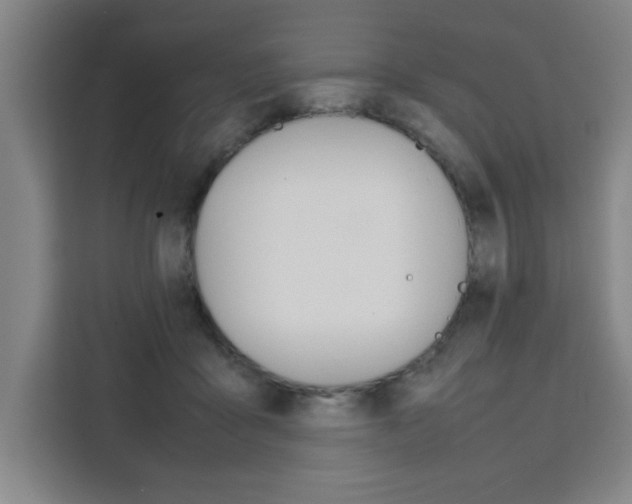 X0000111470411200907131242
