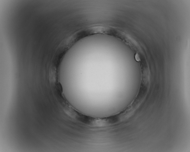 X0000111470413200907131242