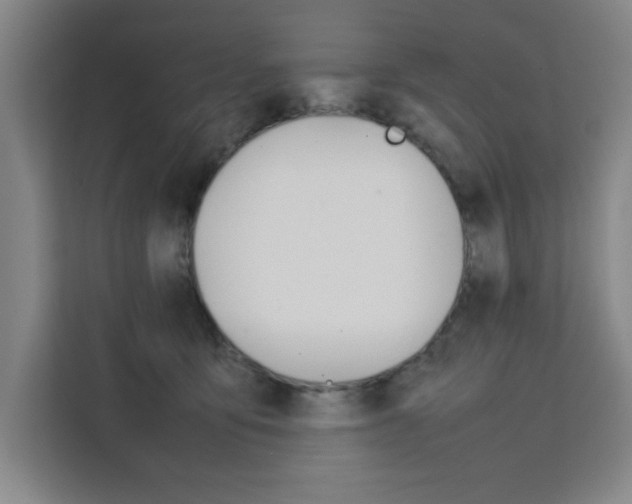 X0000111470419200907131242
