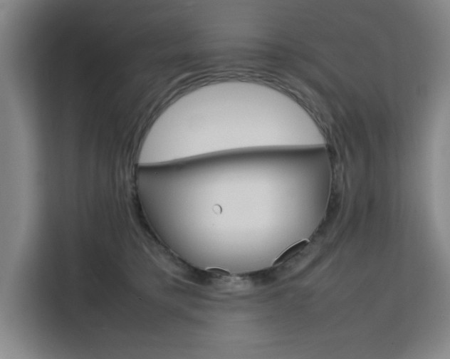 X0000111470421200907131242