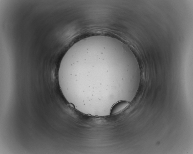X0000111470424200907131242