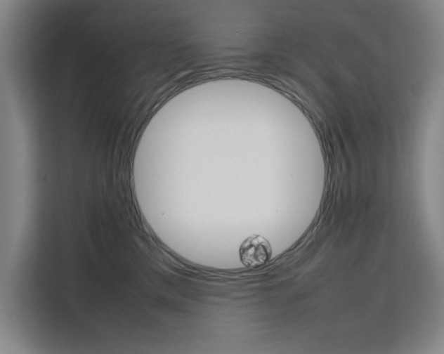 X0000111470425200907131242