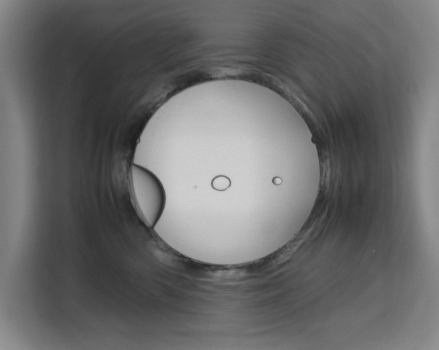 X0000111470426200907131242