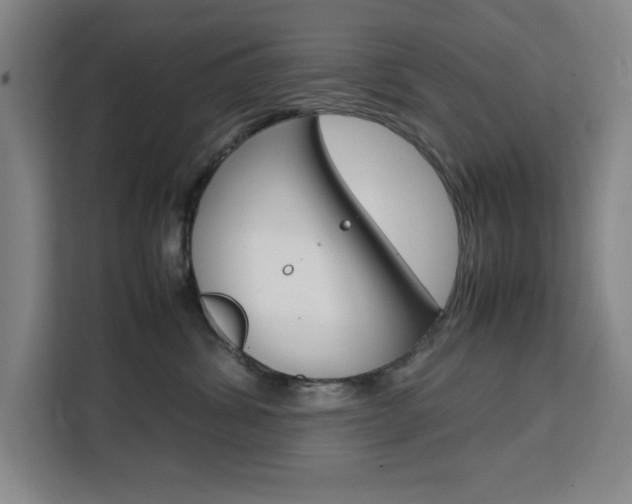 X0000111470428200907131242