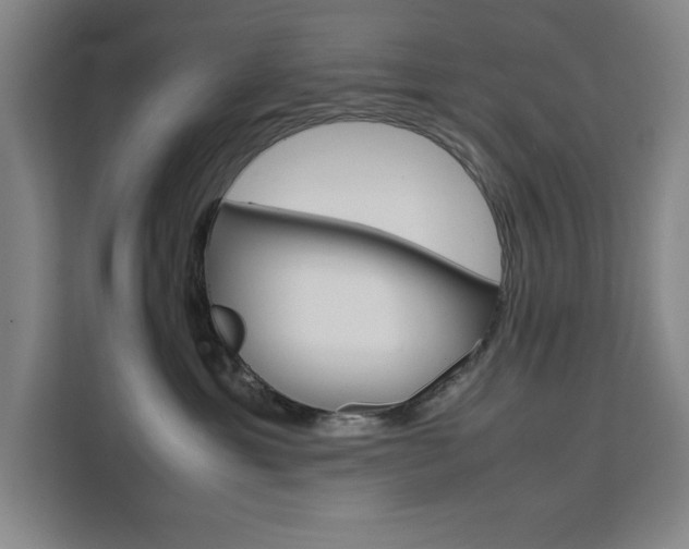 X0000111470429200907131242