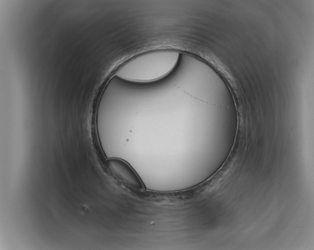 X0000111470434200907131241