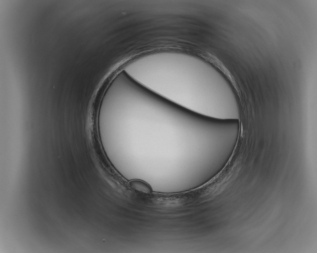 X0000111470435200907131241