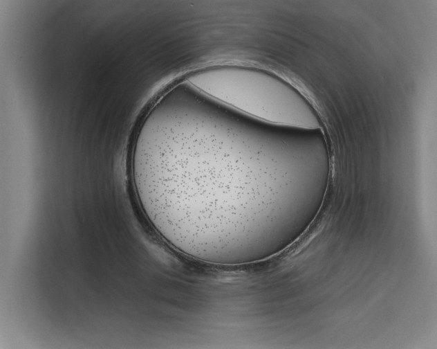 X0000111470438200907131241
