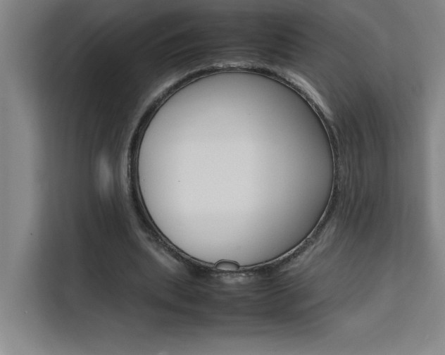 X0000111470439200907131241