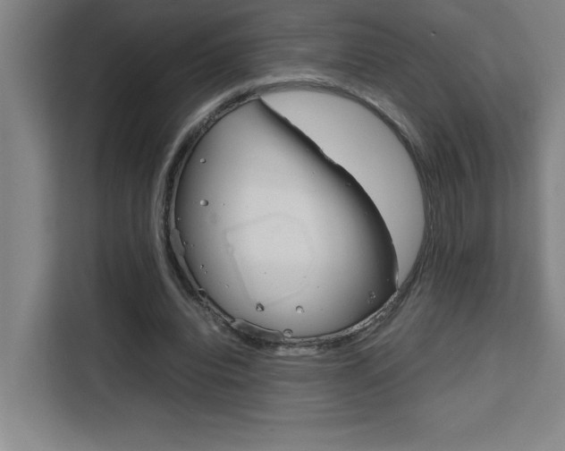 X0000111470440200907131241