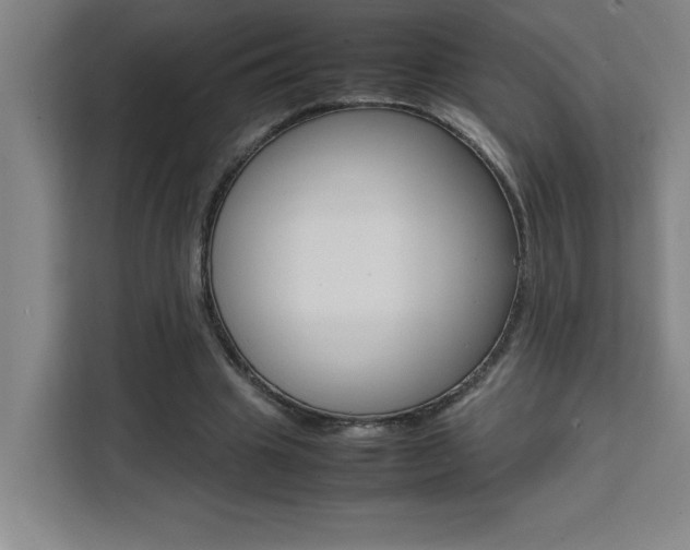 X0000111470441200907131241