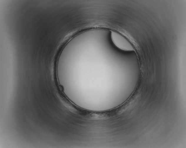 X0000111470442200907131241