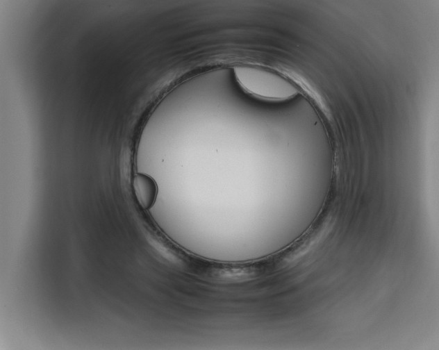 X0000111470445200907131241