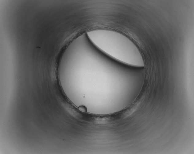X0000111470450200907131242