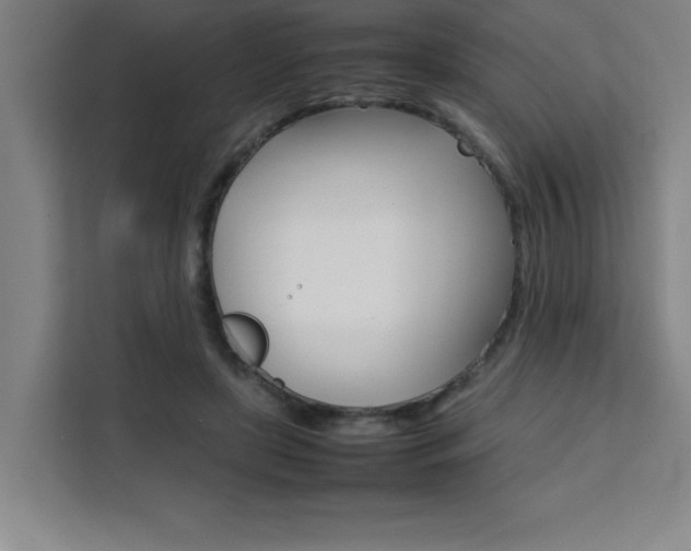 X0000111470451200907131242