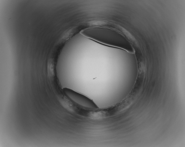 X0000111470452200907131242