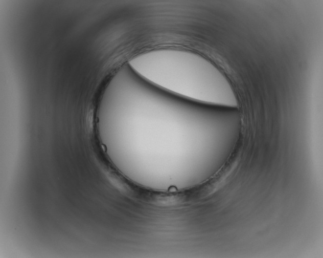 X0000111470454200907131242