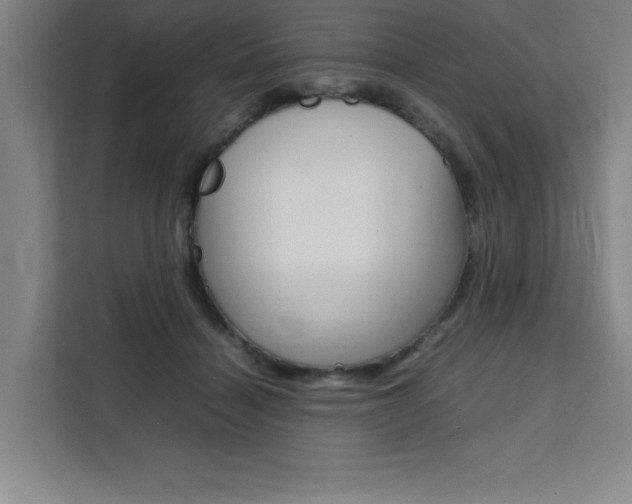 X0000111470460200907131242