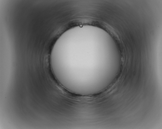 X0000111470462200907131242