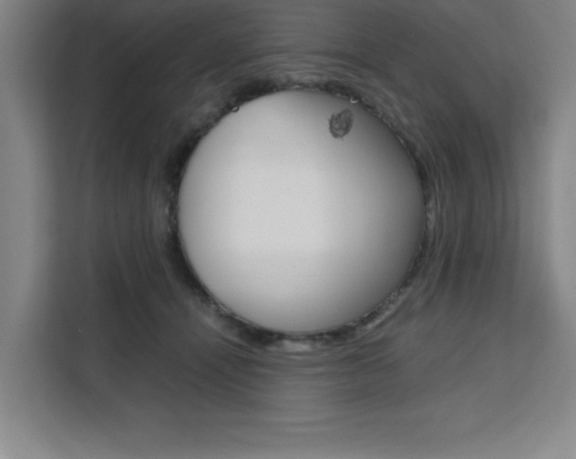 X0000111470464200907131242