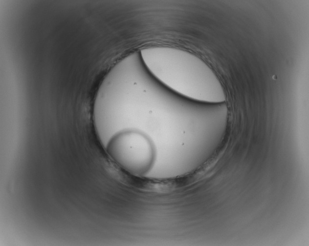 X0000111470466200907131242