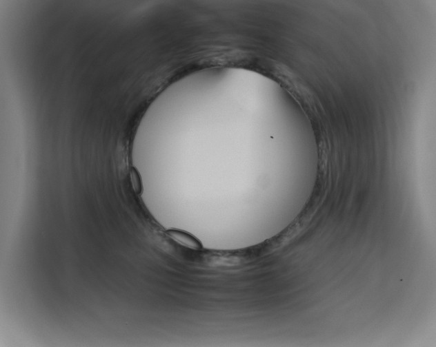 X0000111470471200907131242