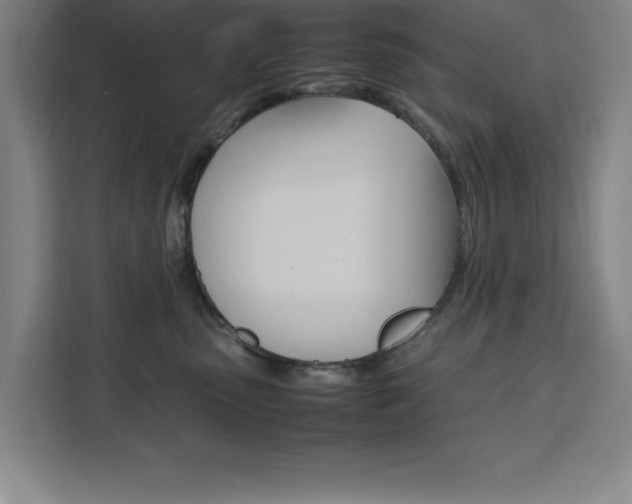 X0000111470475200907131242